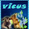 vicus