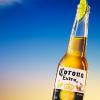 CORONITA22