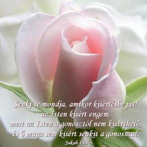 ISTEN SZERETET ♥ "ISTEN VILÁGOSSÁG ÉS NINCSEN ŐBENNE SEMMI SÖTÉTSÉG"